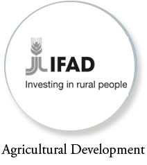 Agricultural Development