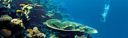  Water sports in Mauritius