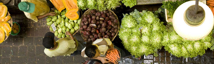 vegetables in amuritius 